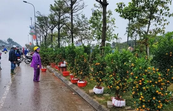 Thời tiết hôm nay 25/1: Bắc Bộ có mưa, trời rét