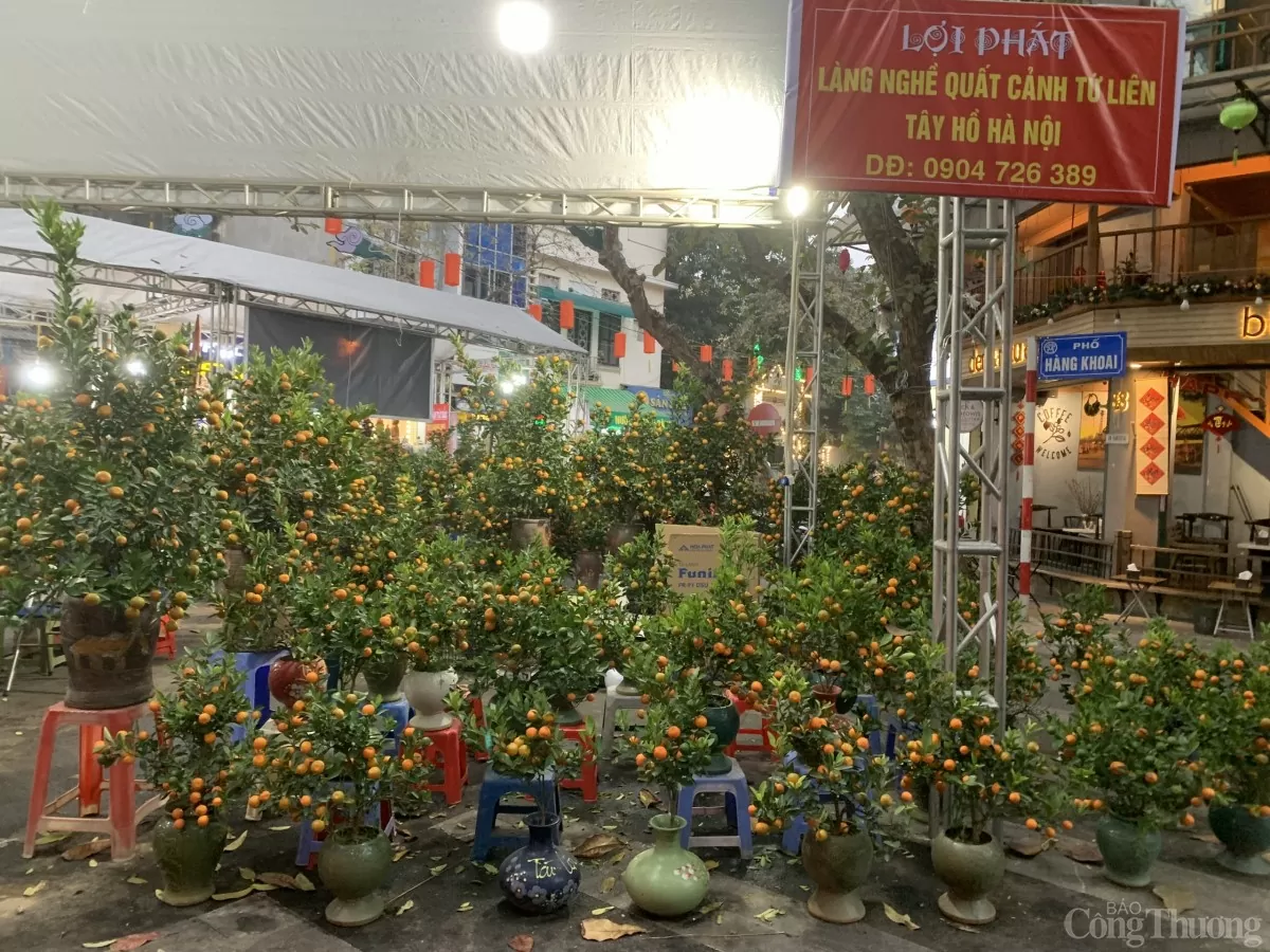 Thị trường hoa, cây cảnh kém sôi động những ngày cận Tết