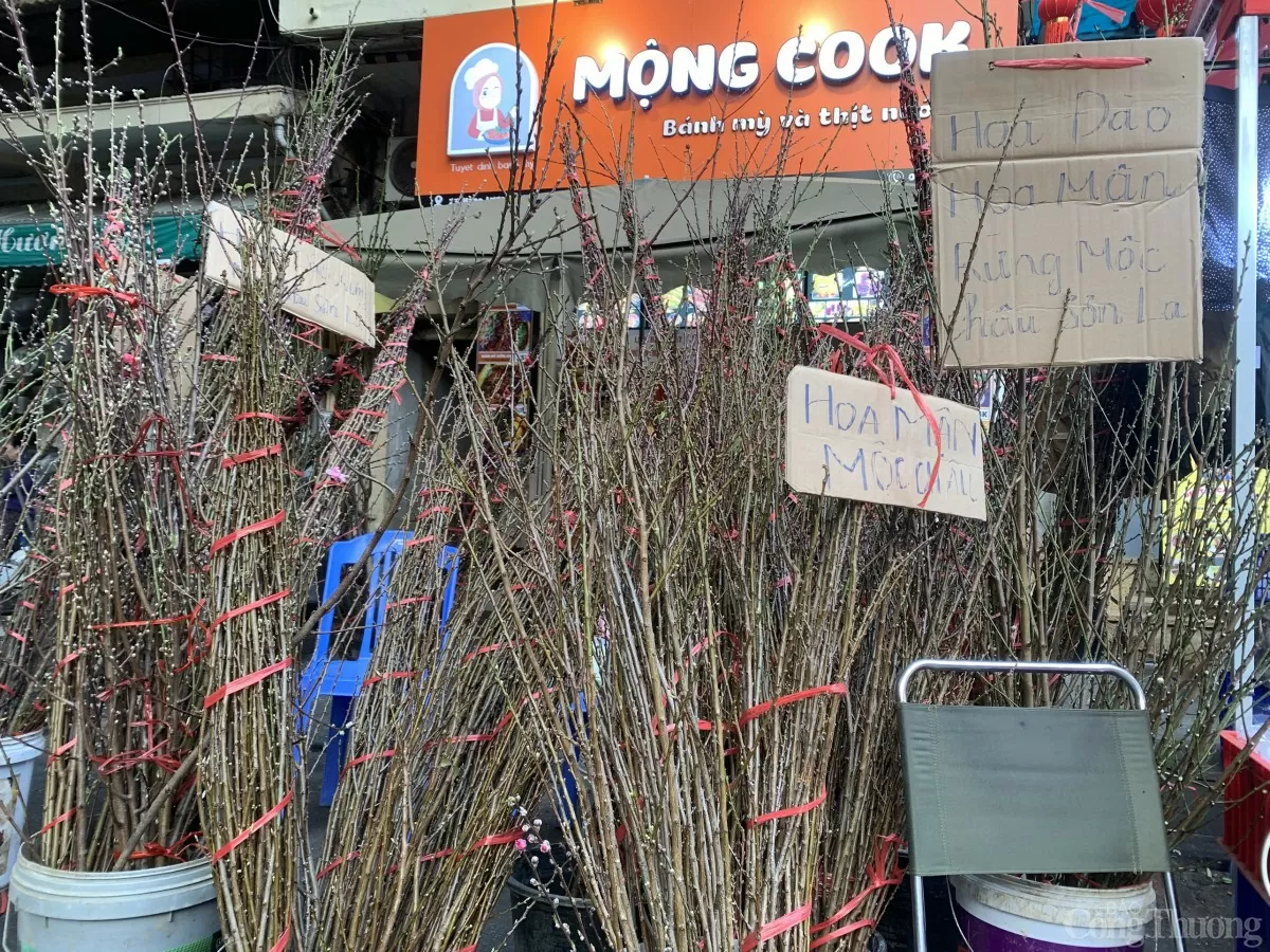 Thị trường hoa, cây cảnh kém sôi động những ngày cận Tết