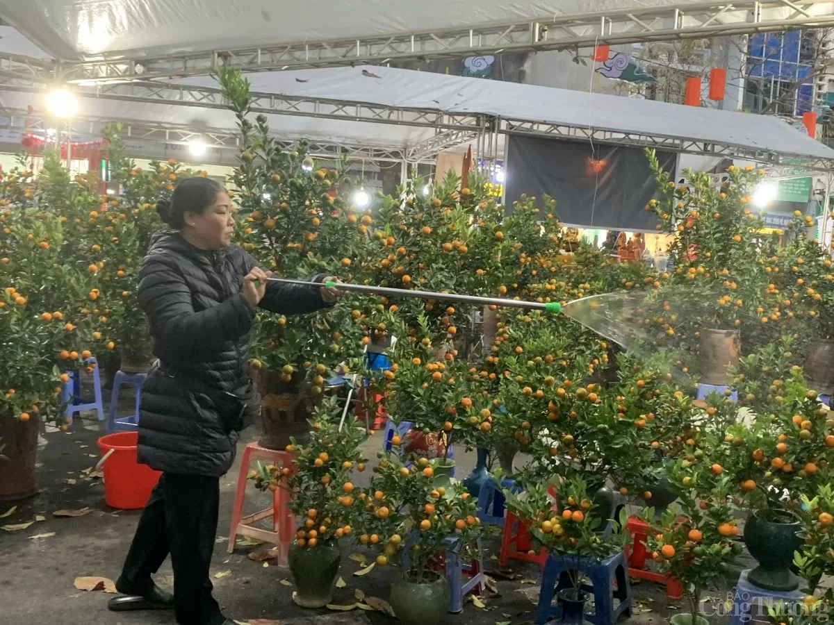 Thị trường hoa, cây cảnh kém sôi động những ngày cận Tết