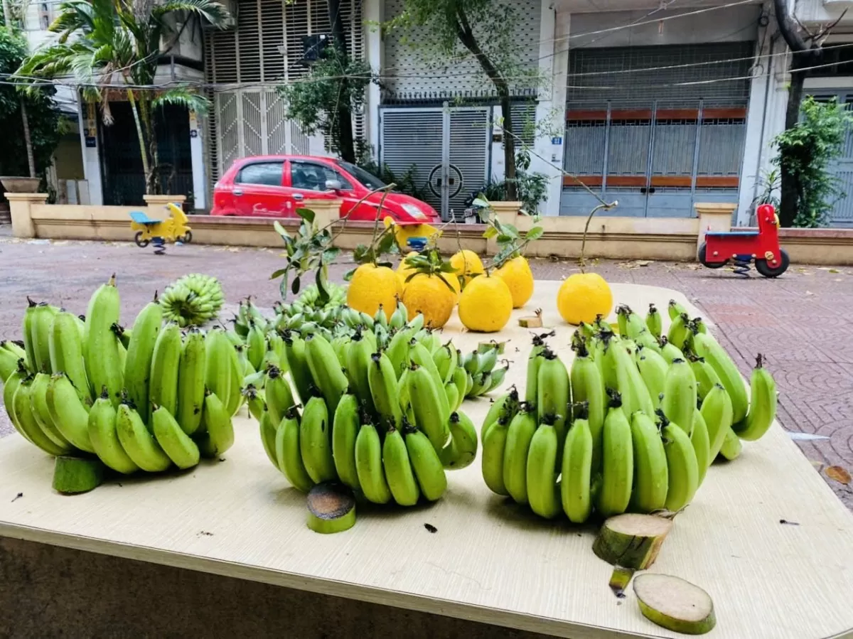 Chuối xanh bày ngũ quả tăng giá 'vùn vụt' trong dịp Tết