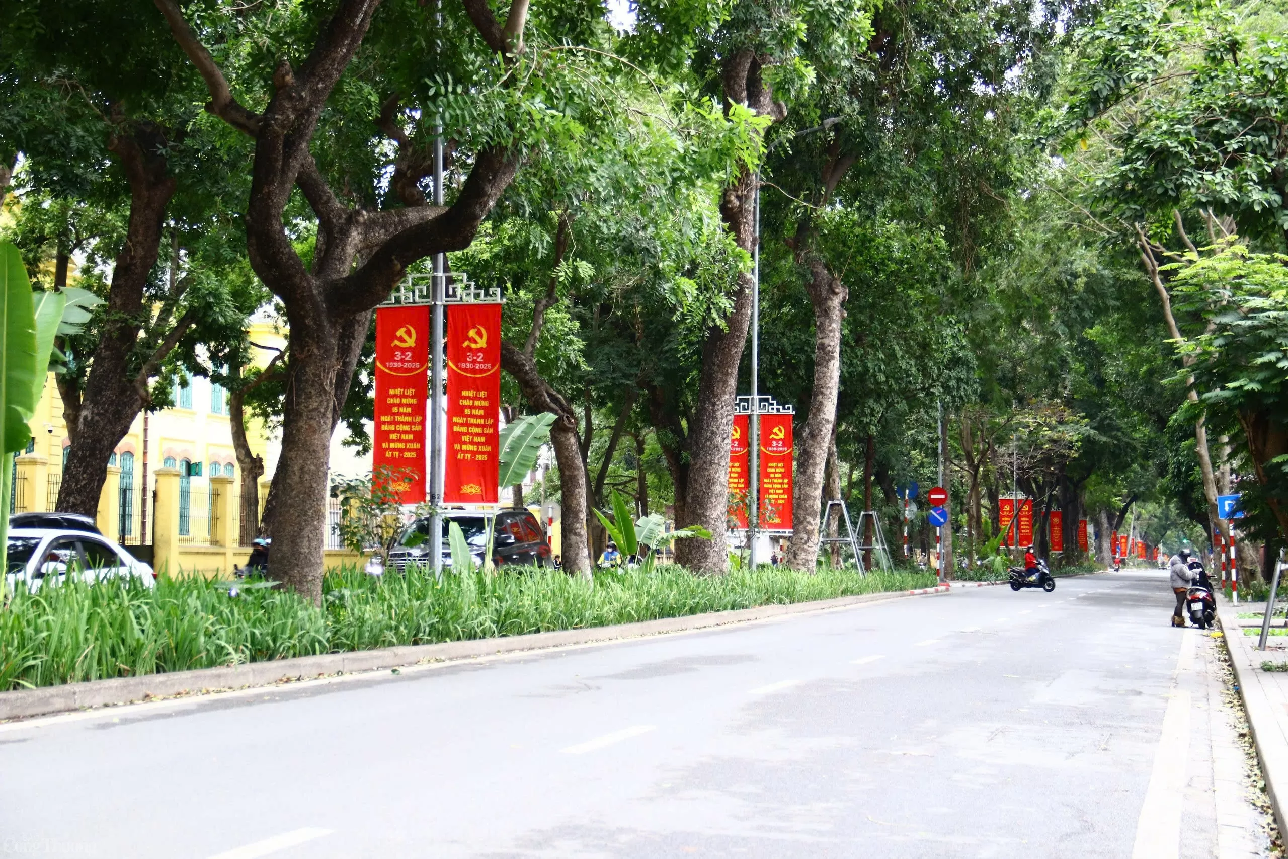 Phố phường Hà Nội trang hoàng rực rỡ chào đón Xuân Ất Tỵ 2025