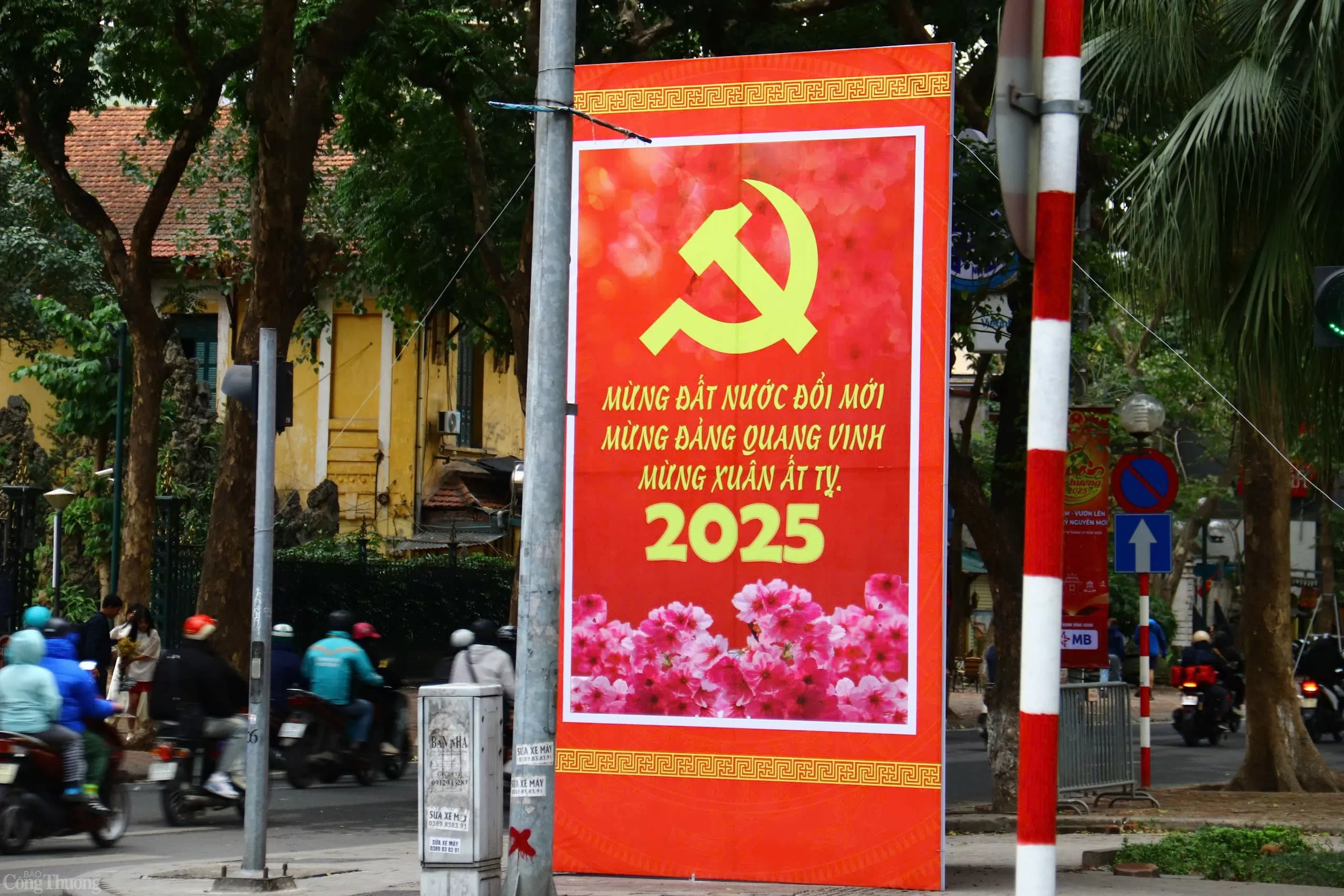 Phố phường Hà Nội trang hoàng rực rỡ chào đón Xuân Ất Tỵ 2025