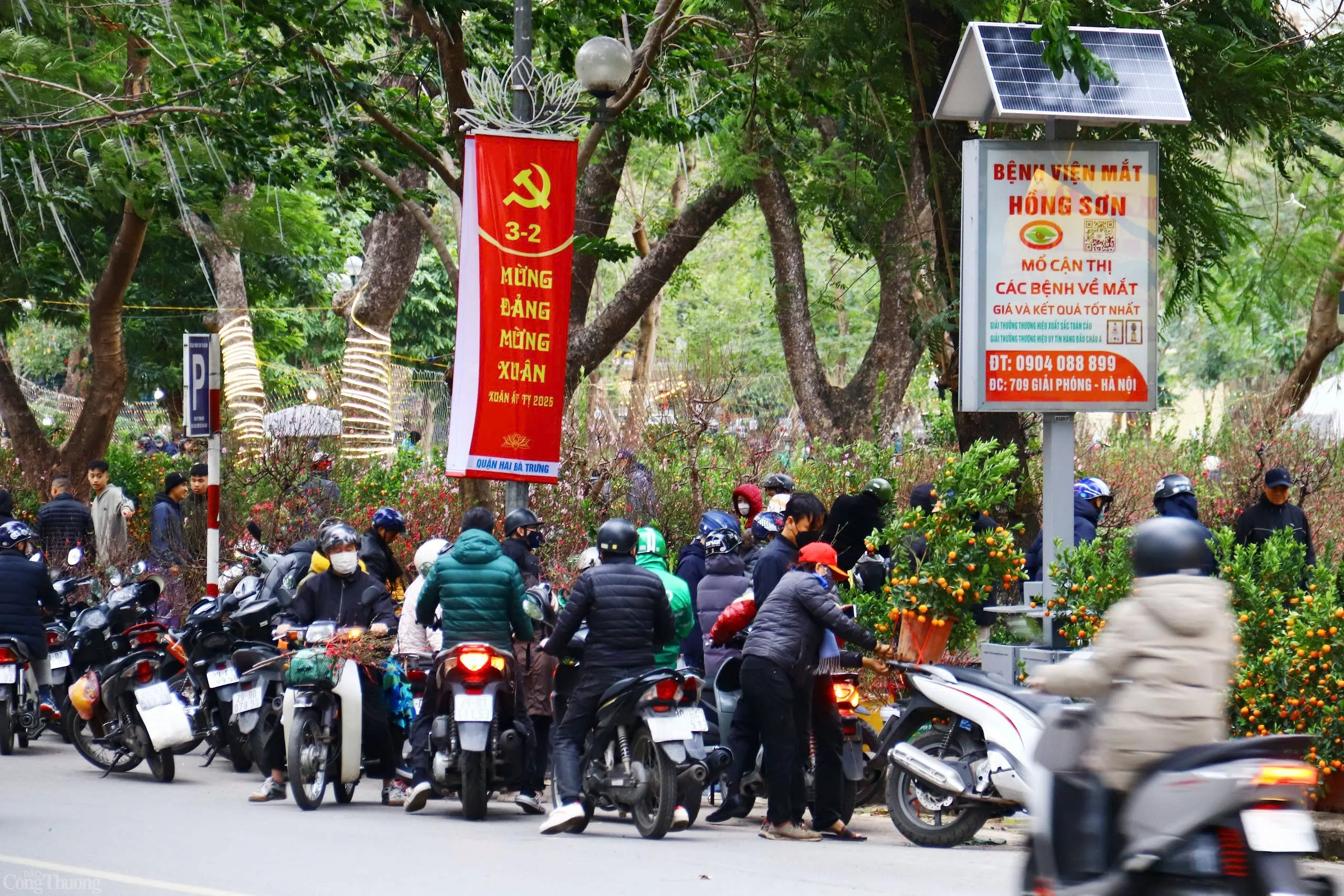Phố phường Hà Nội trang hoàng rực rỡ chào đón Xuân Ất Tỵ 2025