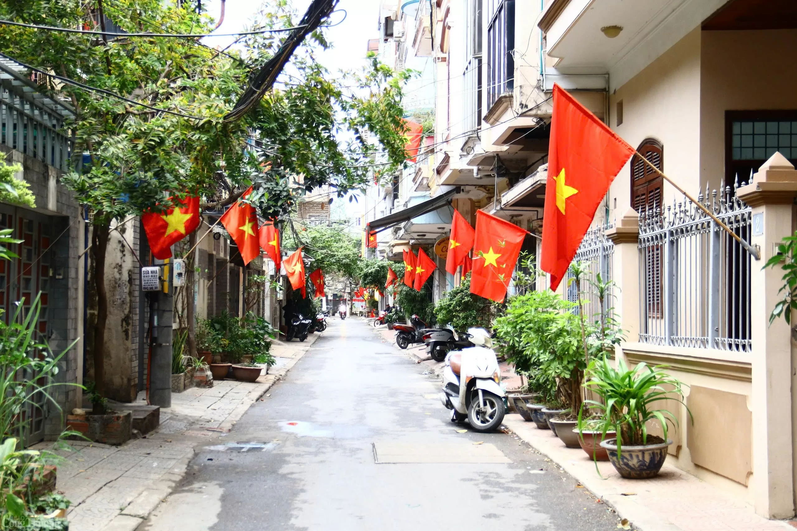 Phố phường Hà Nội trang hoàng rực rỡ chào đón Xuân Ất Tỵ 2025