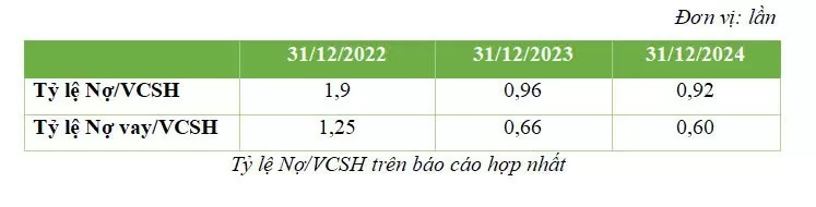 Doanh thu năm 2024 của BCG Energy (BGE) đạt 1.278 tỷ đồng