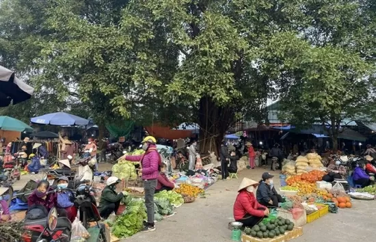 Thời tiết hôm nay 27/1: Bắc Bộ rét đậm rét hại