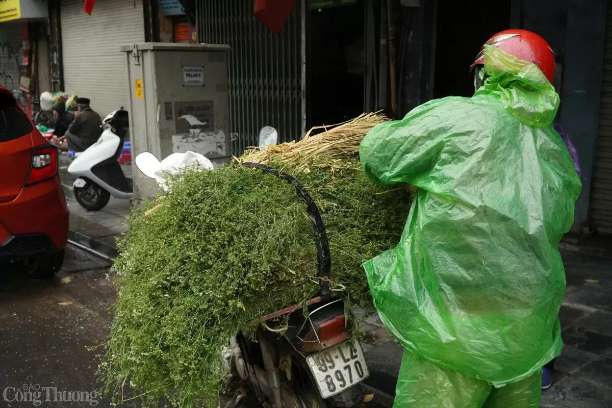Phố phường thơm nức hương mùi già ngày cận Tết