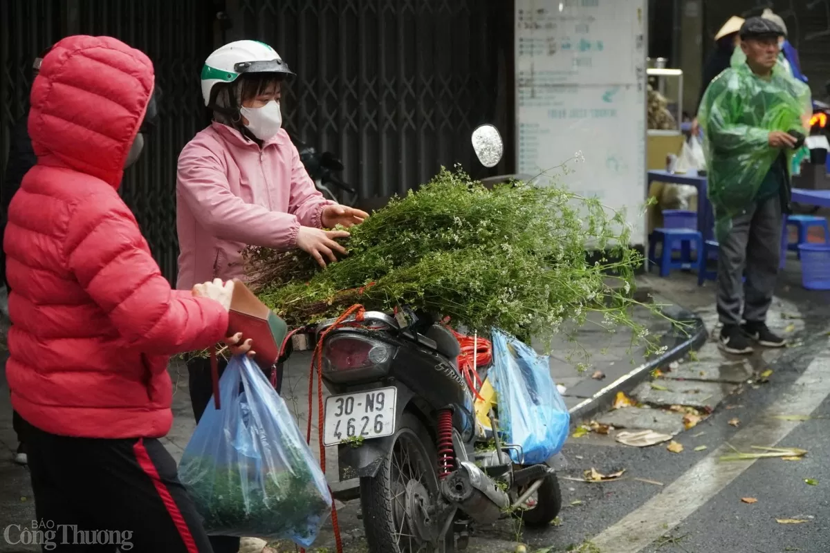 Cô Trần Lan - một người bán mùi già tại chợ đầu mối phía Nam Hà Nội cho biết, để chuẩn bị cho Tết, mùi già sẽ được gieo từ tháng 9 rồi đến tháng Chạp thì bắt đầu vào thu hoạch.
