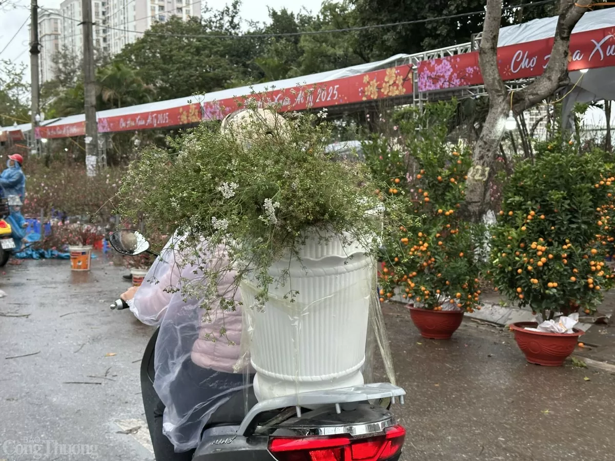 Phố phường thơm nức hương mùi già ngày cận Tết