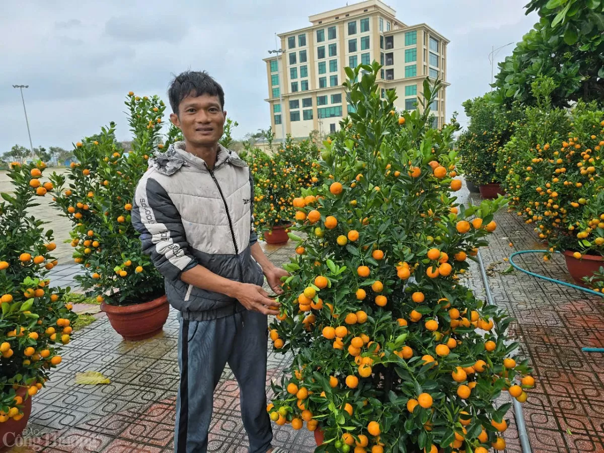Lý Sơn ngày cuối năm 