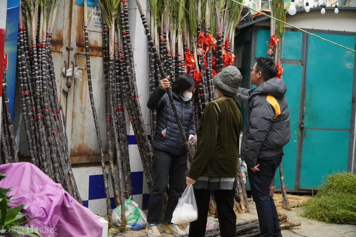 Chị Hoàng Cẩm Anh - một người bán mía trên phố Lò Đúc (Hà Nội) cho biết đã chuẩn bị khoảng 100 cây mía để bán dịp Tết năm nay.