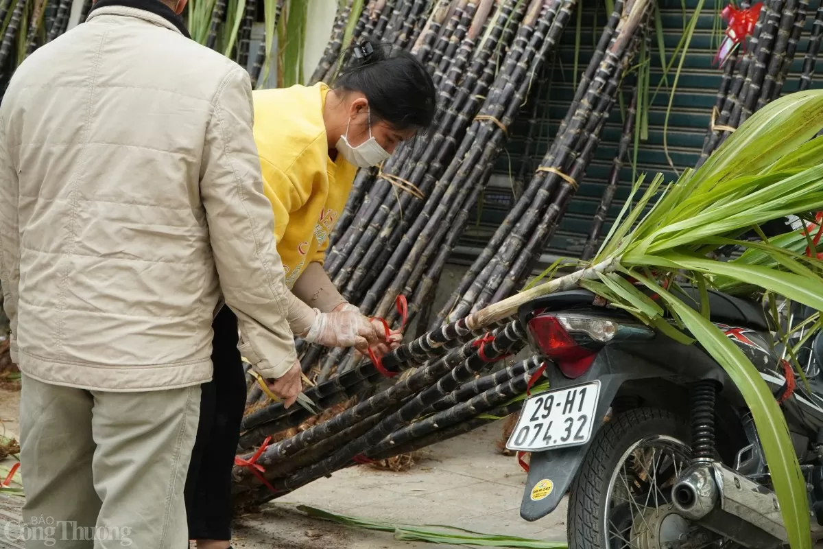 Mía lộc được bó theo từng đôi.