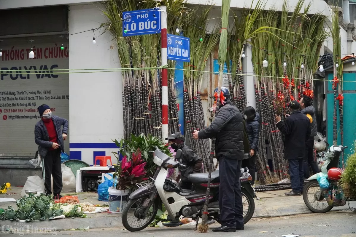 Theo các tiểu thương, giá mía lộc năm nay đắt gấp đôi những năm trước. Mía lộc đang được bán với giá 120.000 đồng/cặp, giá có thể tăng gấp đôi sau đêm giao thừa.
