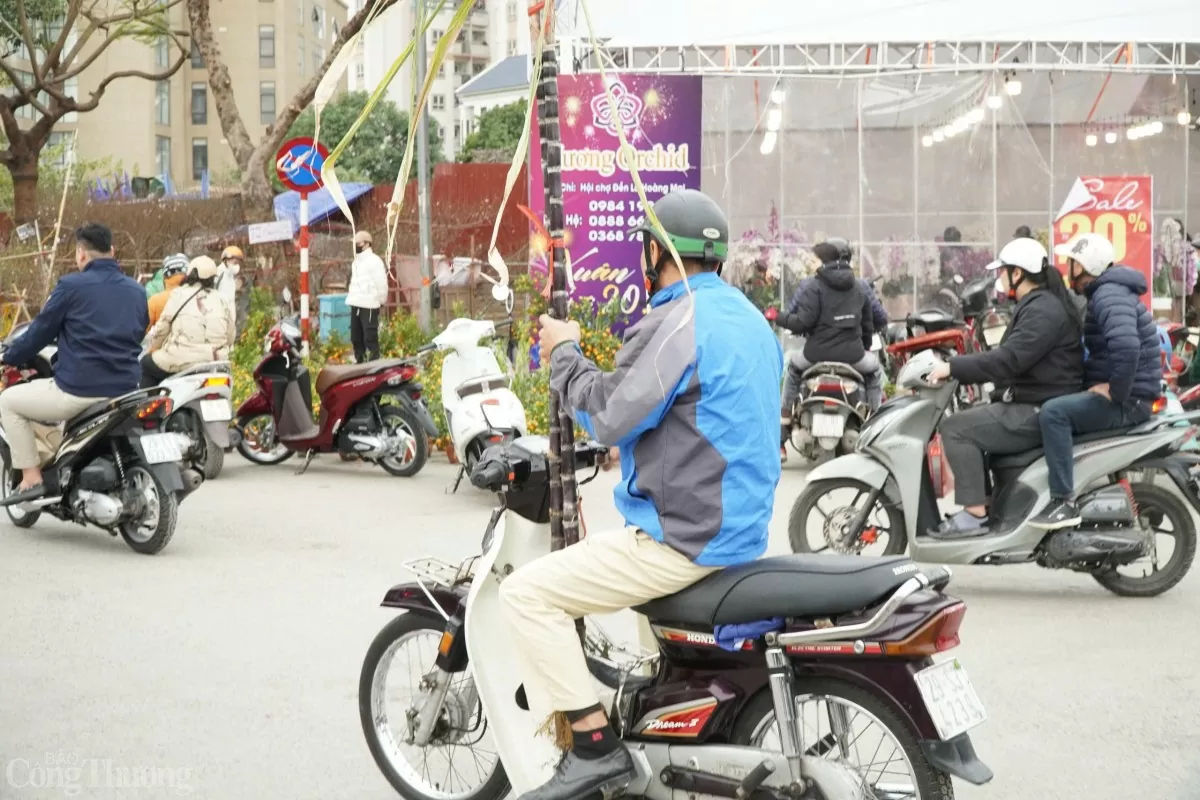 Cũng có nhiều người dân mua mía lộc sớm từ trước đêm giao thừa. Cũng có nhiều người dân mua mía lộc sớm từ trước đêm giao thừa.