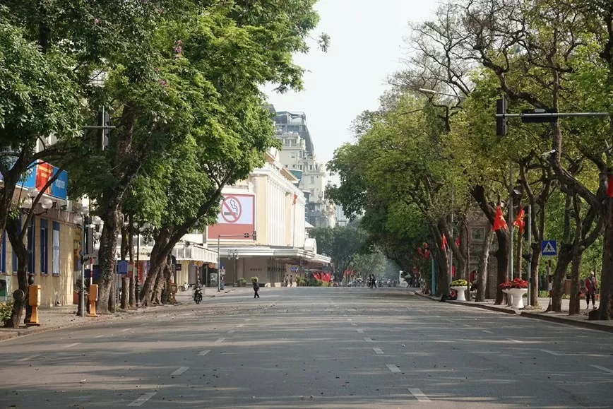 Phố Tràng Tiền buổi sáng đầu năm.