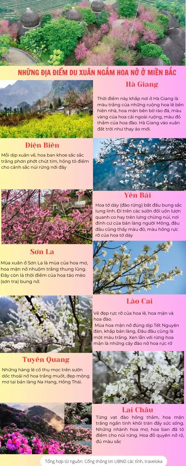 Những địa điểm du xuân ngắm hoa nở ở miền Bắc
