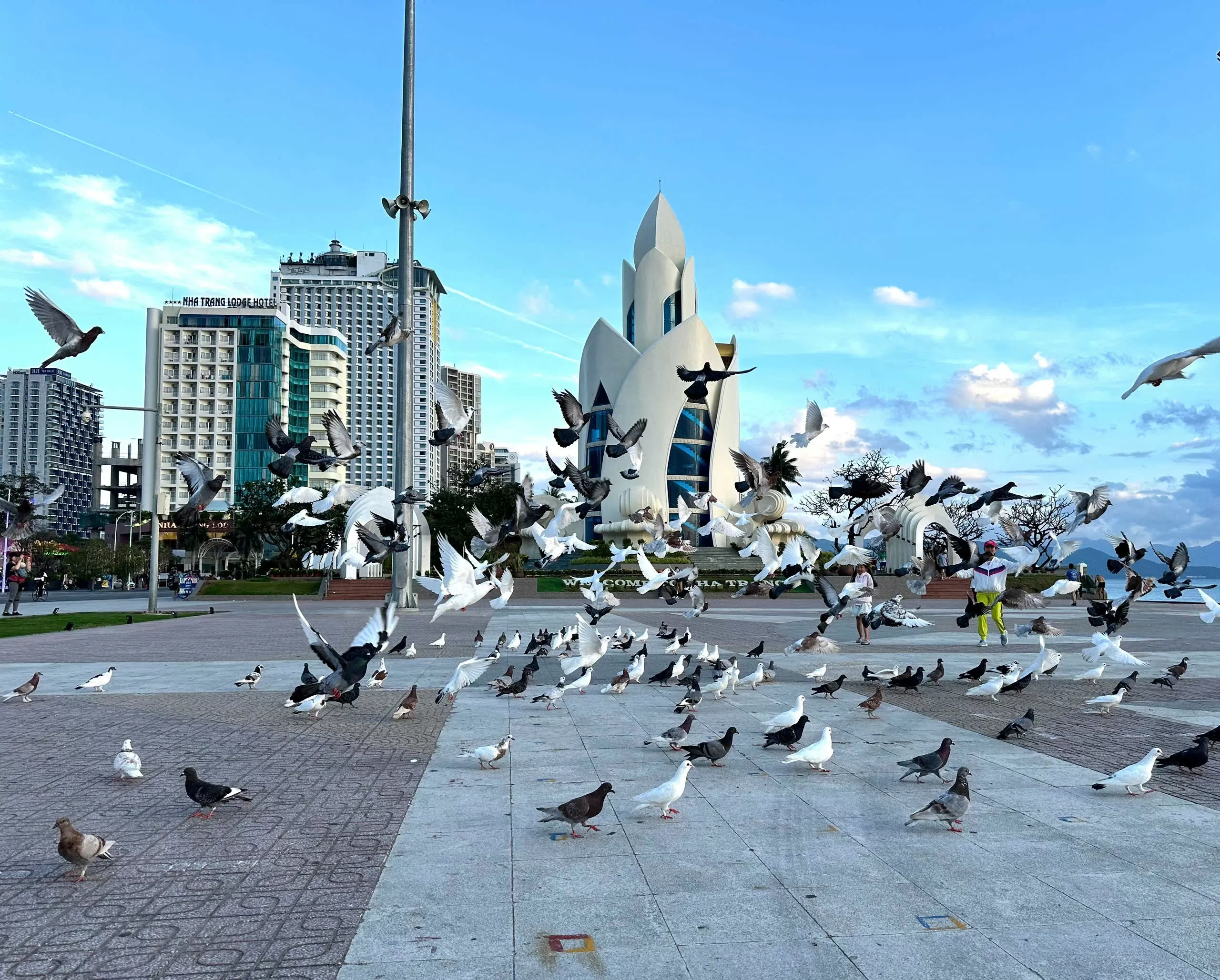 Những ngày đầu xuân mới trên phố biển Nha Trang