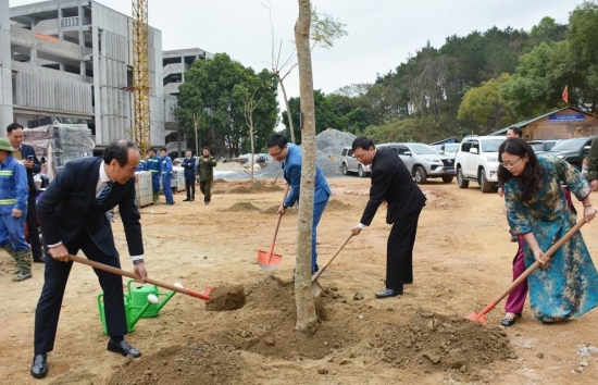 lao cai phat dong tet trong cay xuan at ty nam 2025