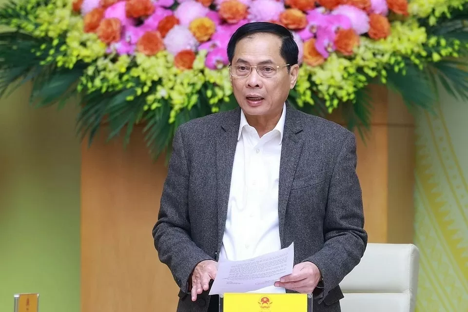 Phó Thủ tướng Bùi Thanh Sơn, Phó Ban Chỉ đạo xây dựng nhà máy điện hạt nhân phát biểu