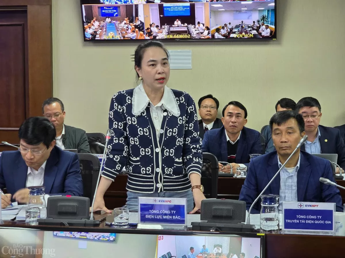 Bộ Công Thương làm việc với EVN về Quy hoạch điện VIII
