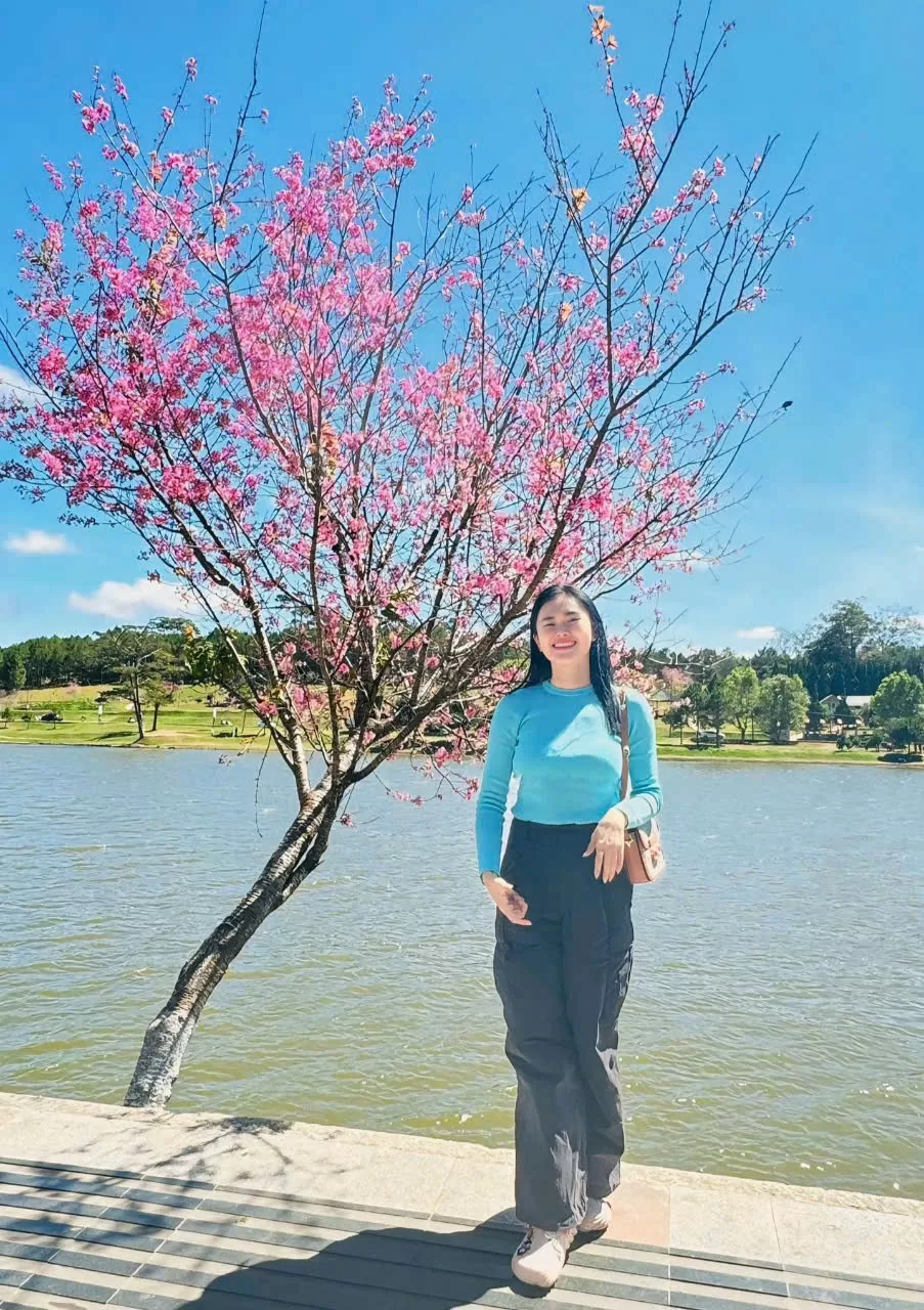 Sau Tết, mai anh đào vẫn nở rực trên phố Đà Lạt