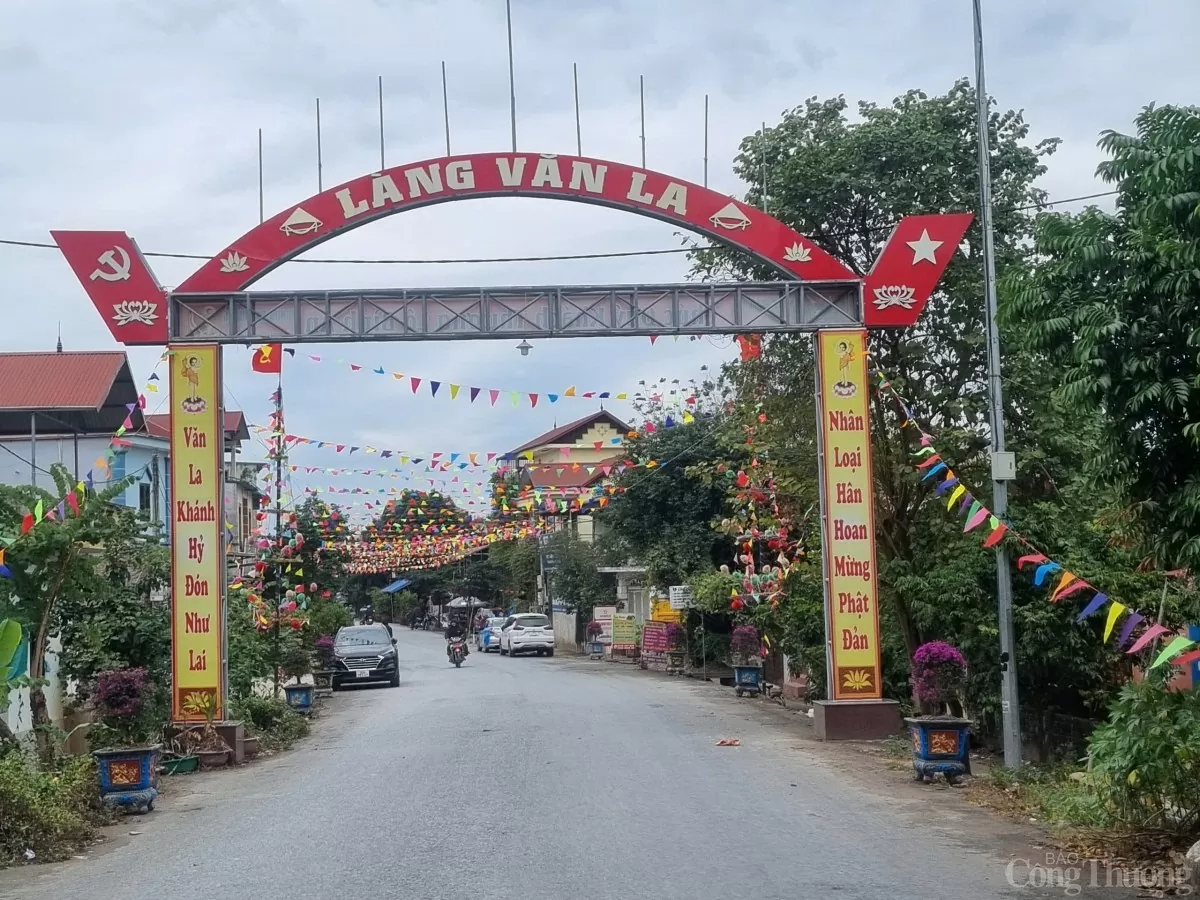 Về Văn Võ xem cây cọ trăm tuổi ‘ngự’ trên ngọn đa