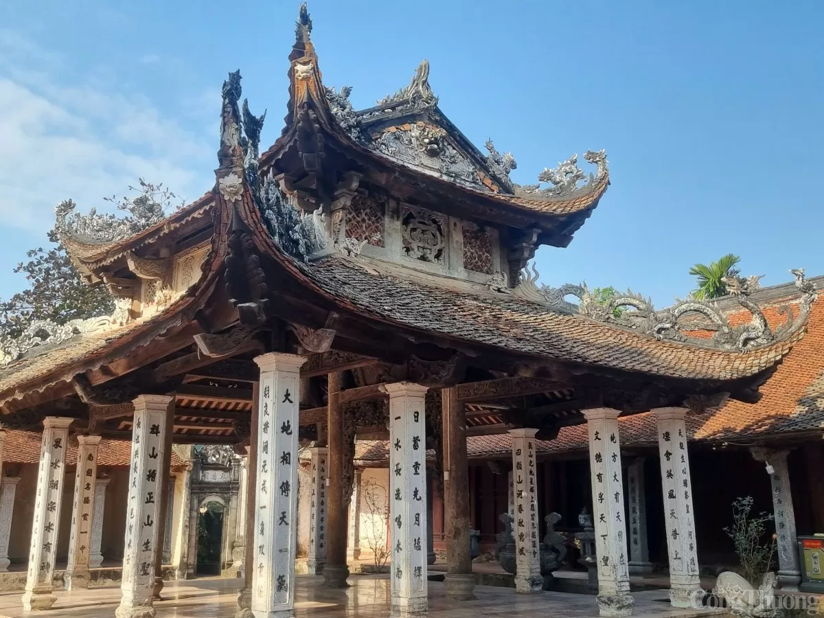 Về Văn Võ xem cây cọ trăm tuổi ‘ngự’ trên ngọn đa