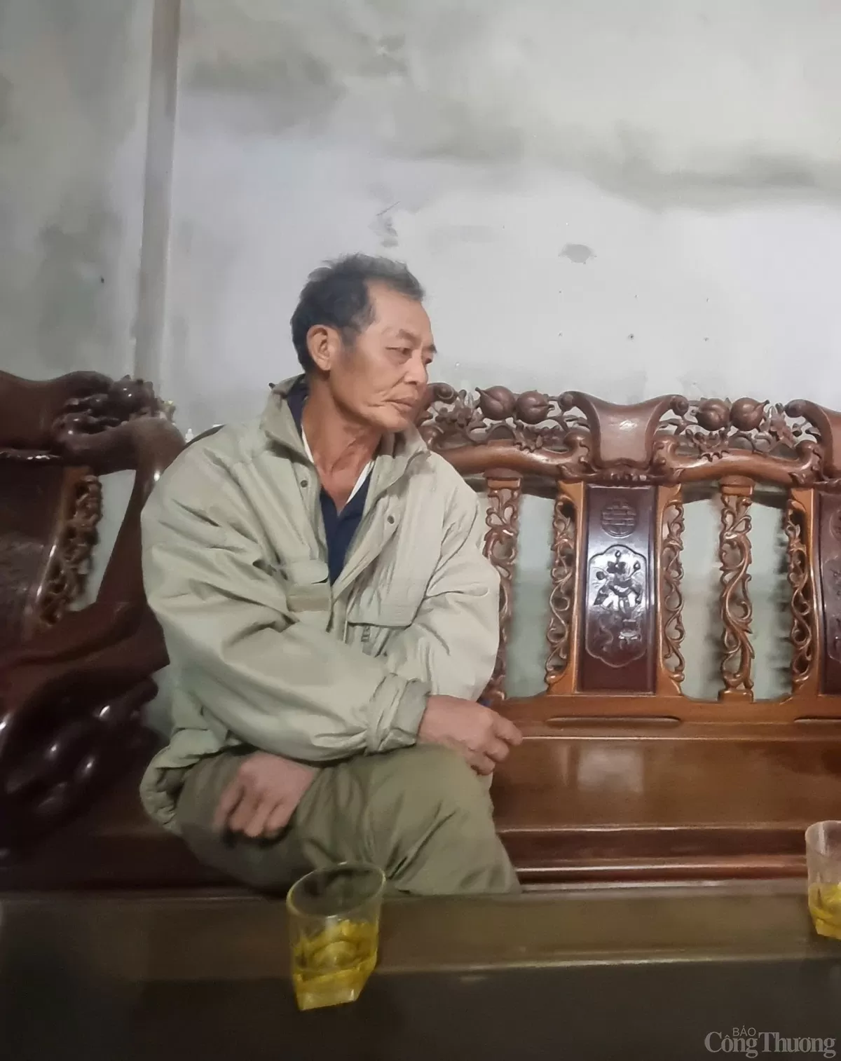 Về Văn Võ xem cây cọ trăm tuổi ‘ngự’ trên ngọn đa