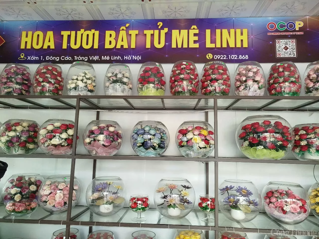 Sản phẩm OCOP 'hoa bất tử' ở Mê Linh hút khách