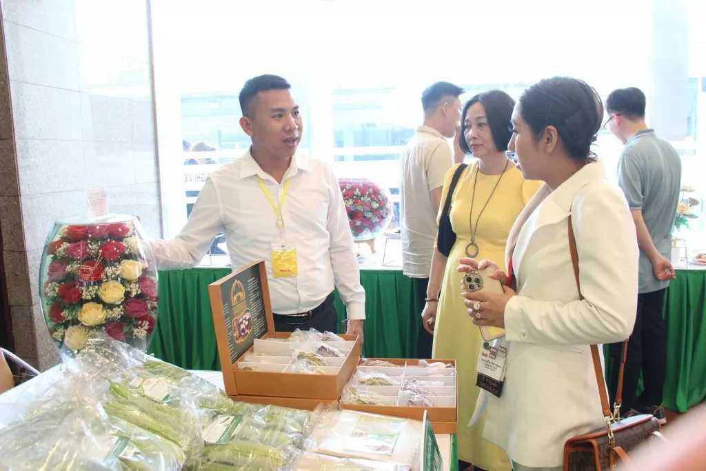 Sản phẩm OCOP 'hoa bất tử' ở Mê Linh hút khách