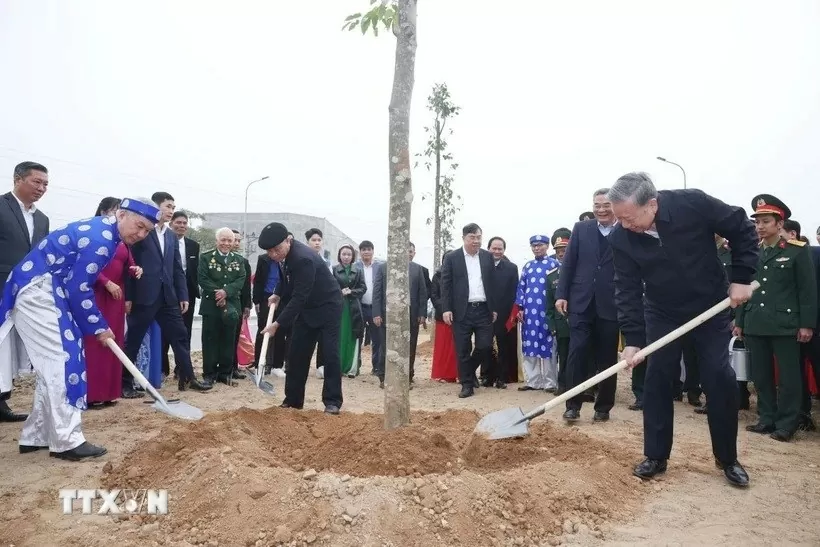 Tổng Bí thư Tô Lâm dự Lễ phát động Tết trồng cây