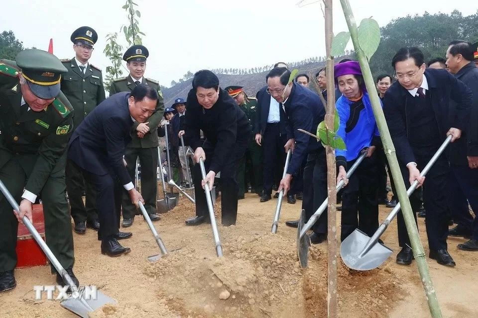 Chủ tịch nước dự “Tết trồng cây Đời đời nhớ ơn Bác