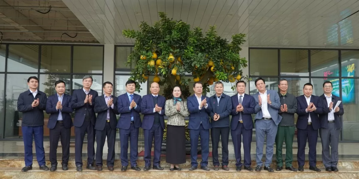 Năm 2025, dự báo nhu cầu sử dụng điện của Thái Bình sẽ tăng cao từ 10 – 15%