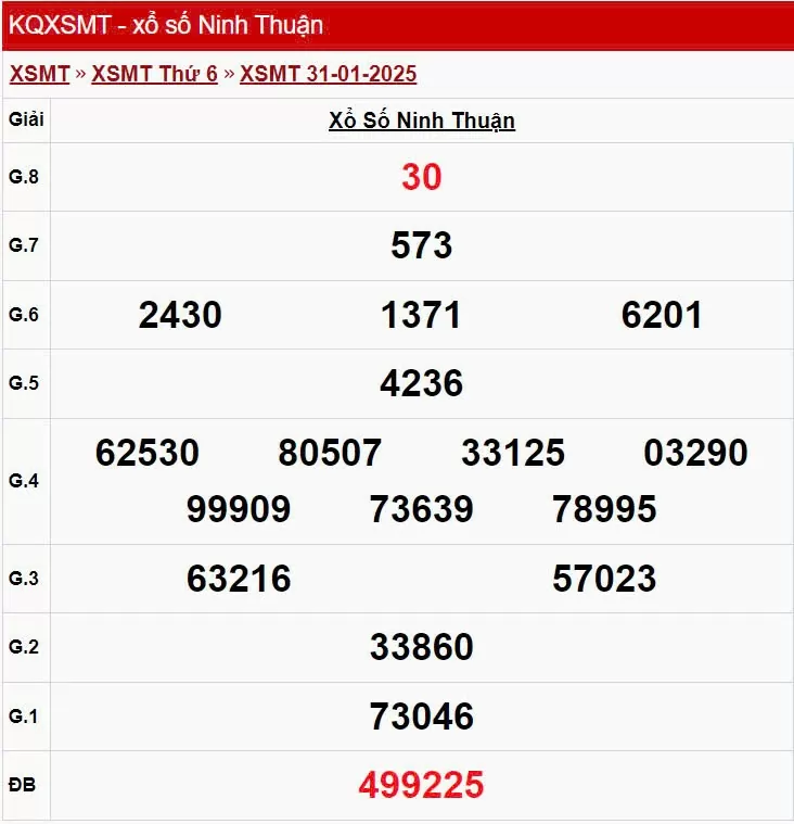 XSNT 31/1, kết quả xổ số Ninh Thuận hôm nay 31/1/2025