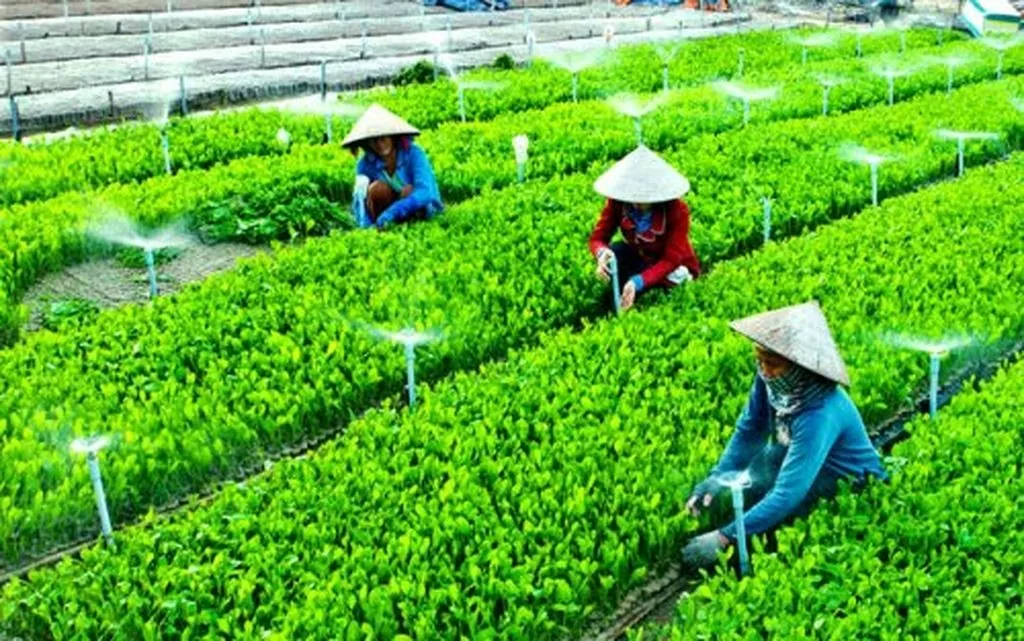 Năng suất xanh giúp doanh nghiệp phát triển bền vững
