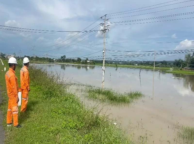 Bình Thuận: Bảo đảm cung ứng đủ điện sản xuất, kinh doanh