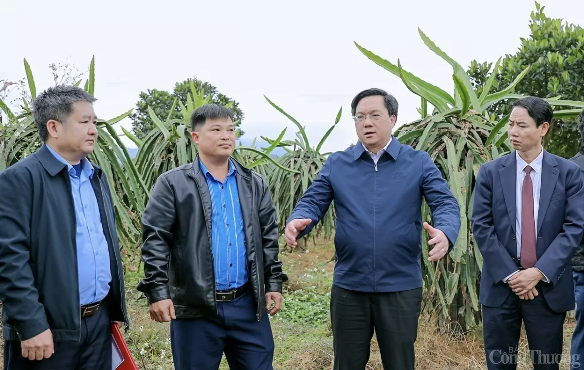 Vĩnh Phúc: Phấn đấu giao mặt bằng Đường dây 500kV Lào Cai - Vĩnh Yên trước 25/2
