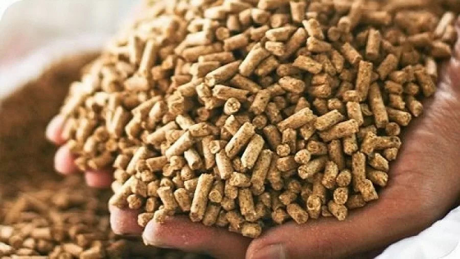 Xuất khẩu thức ăn gia súc và nguyên liệu đạt tỷ USD