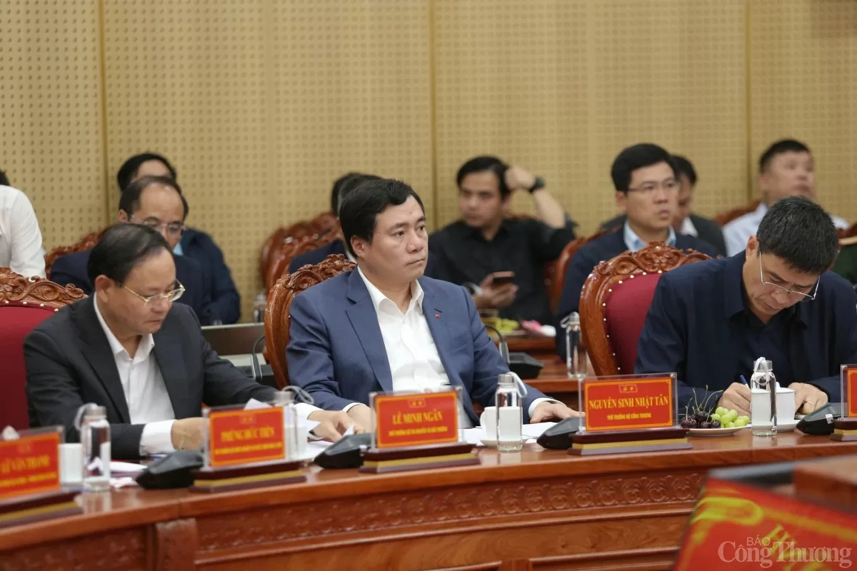 Các đại biểu tham dự buổi làm việc