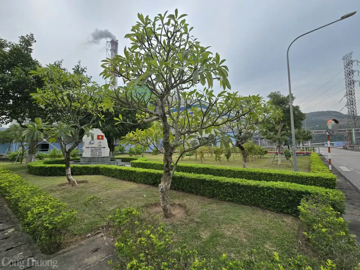 Chuyển đổi năng lượng xanh - Bài 4: Sẵn sàng chuyển đổi xanh