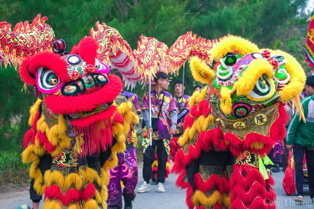 Hàng nghìn người tham gia rước nước hội đền Trần Thái Bình