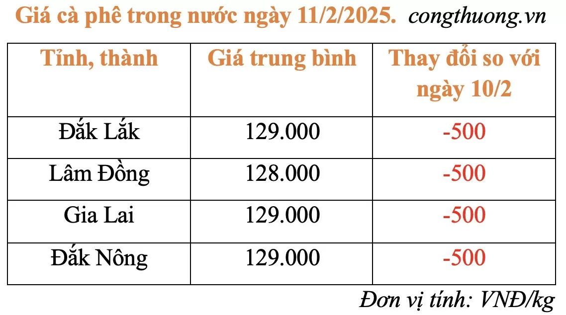 Giá cà phê hôm nay 11/2/2025: