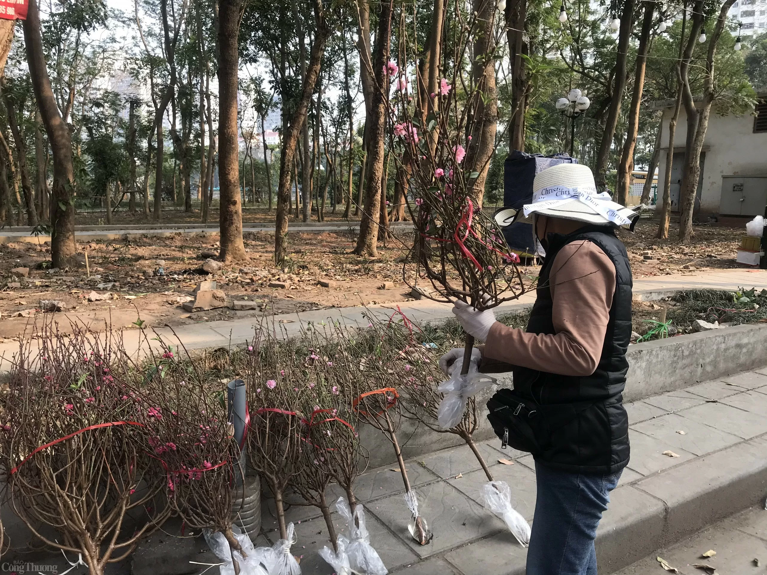 Cơn bản Yagi khiến mùa vụ bán đào của các tiểu thương gặp không ít khó khăn. Ảnh: Lê An