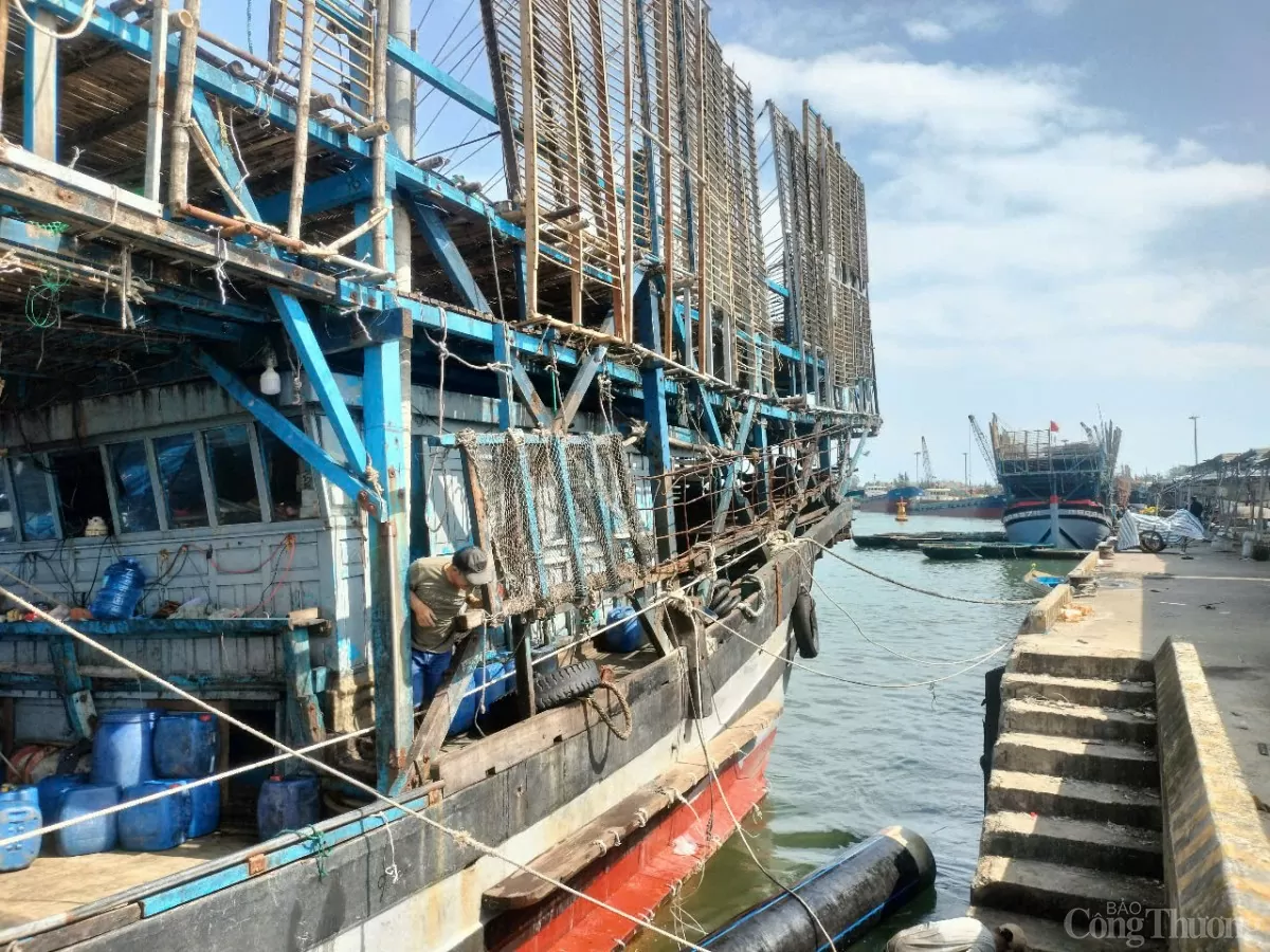 Ngư dân Quảng Ngãi phấn khởi vươn khơi bám biển những ngày đầu năm mới Ất Tỵ 2025