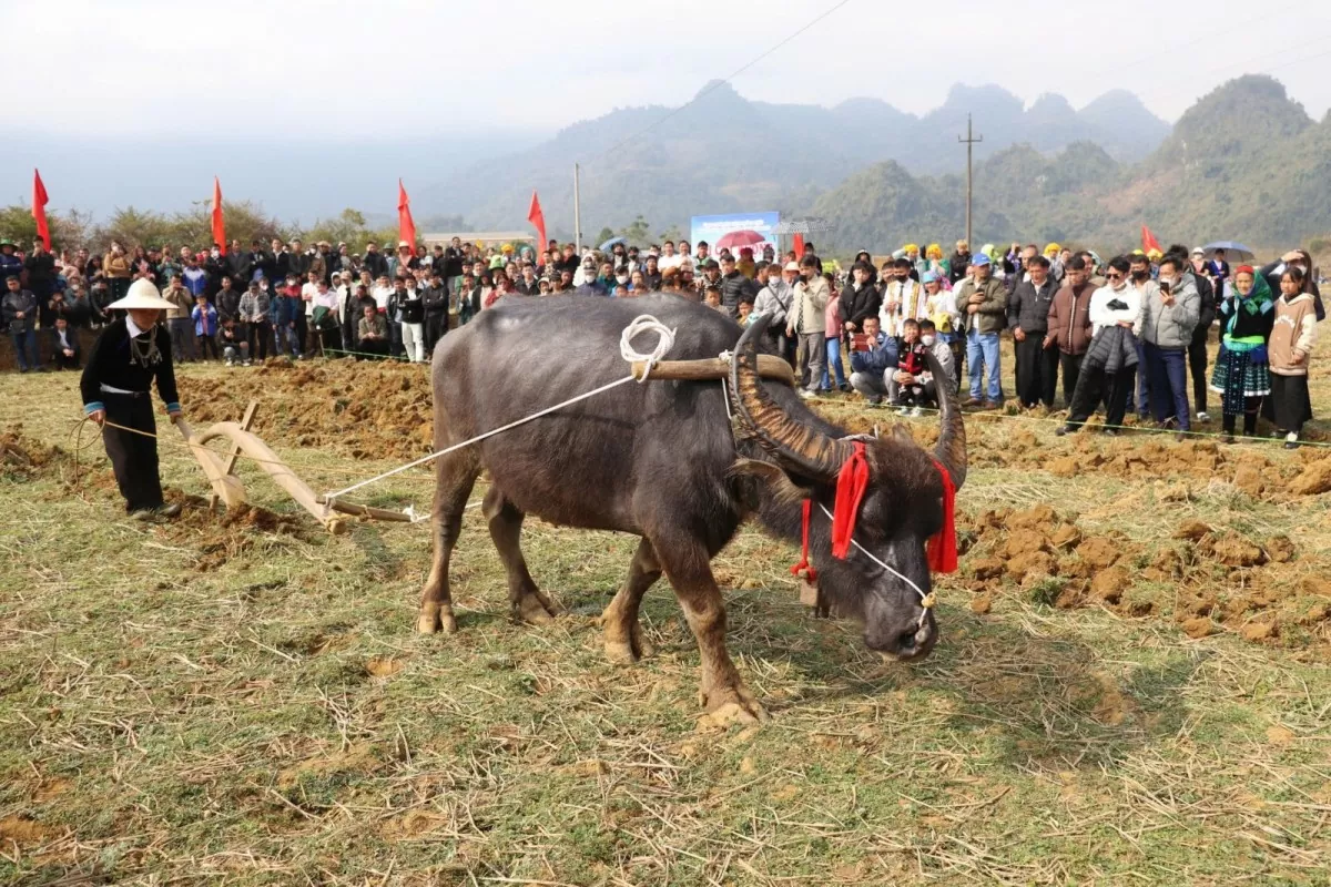 Lai Châu: Độc đáo Lễ hội Grâuk Taox Cha xã Sùng Phài