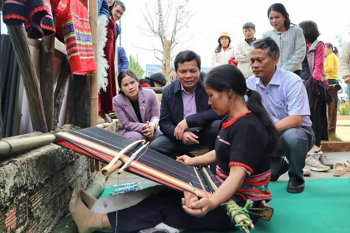 Nâng cao giá trị sản phẩm sâm Ngọc Linh