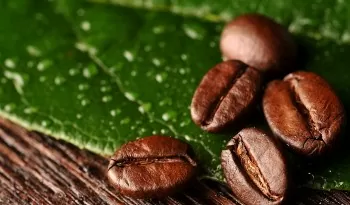 Chủ động thích ứng, doanh nghiệp tăng tốc xuất khẩu hàng hóa