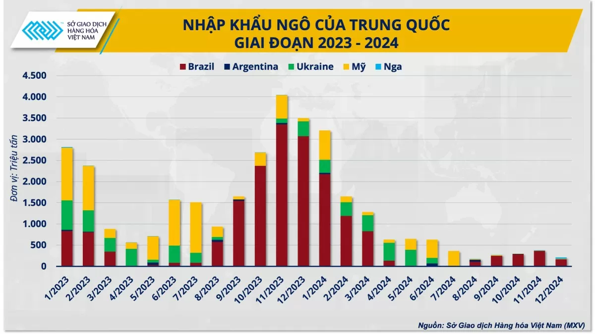 Thị trường ngô thế giới 2025: Thách thức song hành cùng cơ hội