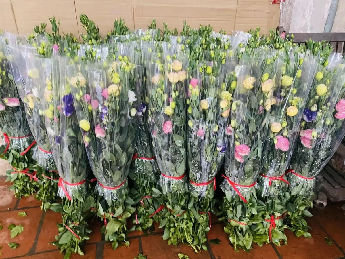 Hoa lan tường được bó gọn gàng tại chợ đầu mối giao cho các cửa hàng. Ảnh: Nguyễn Thanh